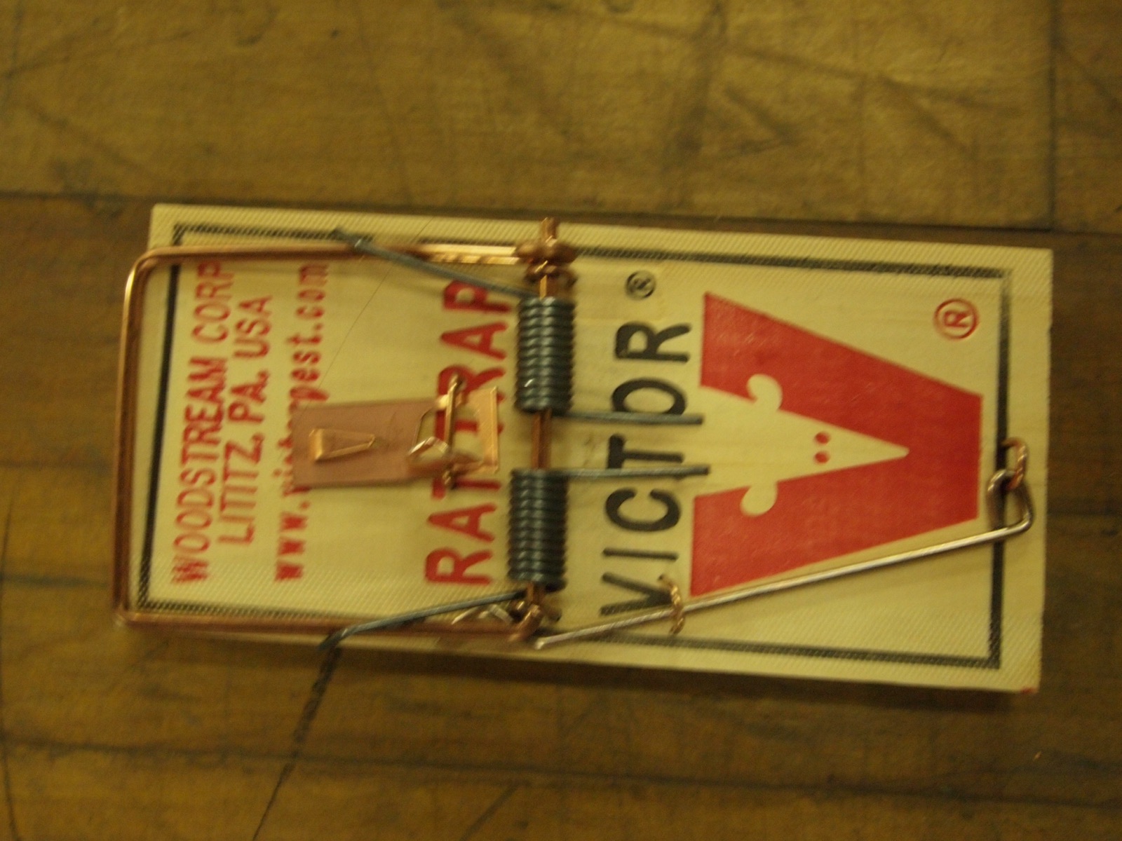 A close-up of a single mousetrap